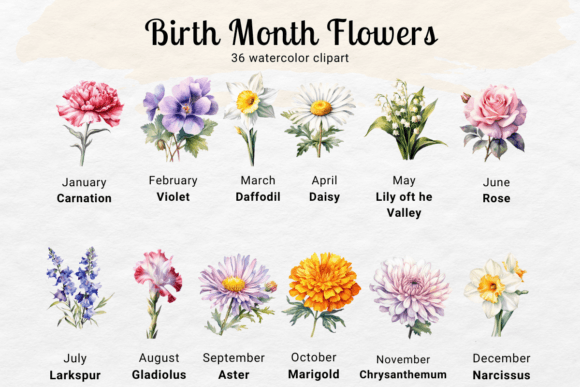 Birth Flower Watercolor Clipart: A Practical Review for Digital Sellers