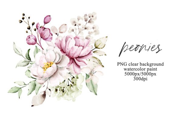 h1Pink Flowers Watercolor Peonies PNG Illustrations for Digital Sellers/h1