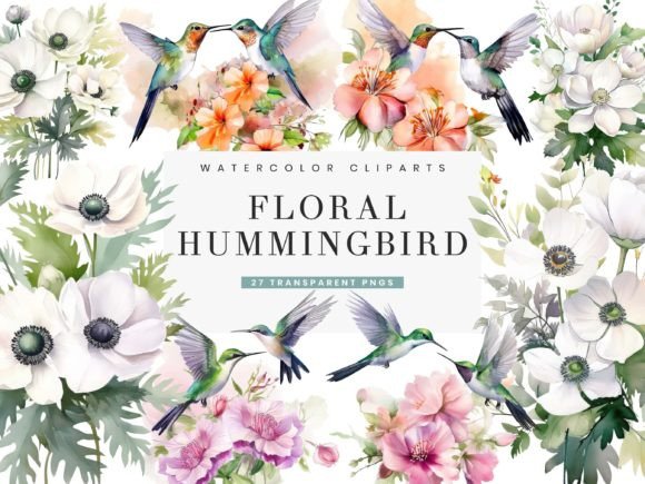 h1Watercolor Hummingbird Illustrations Bundle for Creative Sellers/h1