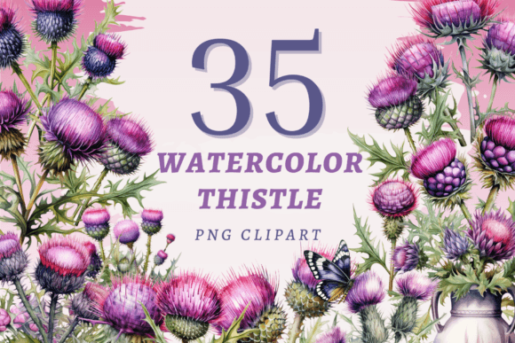 h1Watercolor Thistle Illustrations for Digital Product Sellers/h1