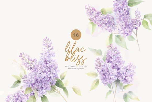 Lilac Florals Watercolor Flowers Illustrations for Digital Sellers