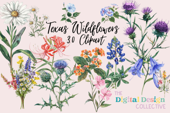 Texas Native Wildflowers Watercolor PNGs for Editorial & Blog Design