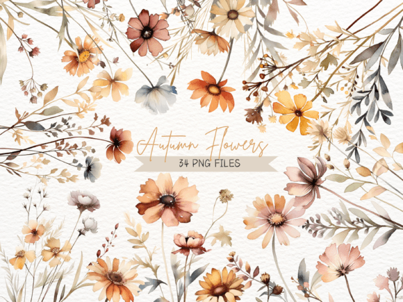 Watercolor Autumn Flowers Illustrations: A Designer’s Review for Real Client Projects