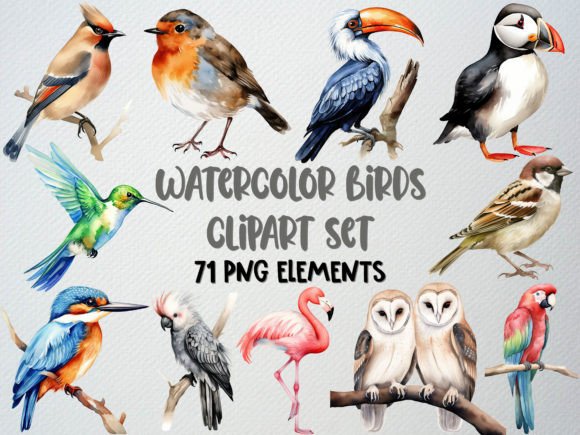Watercolor Birds Clipart Adds Artistic Flair to Editorial and Web Design Projects