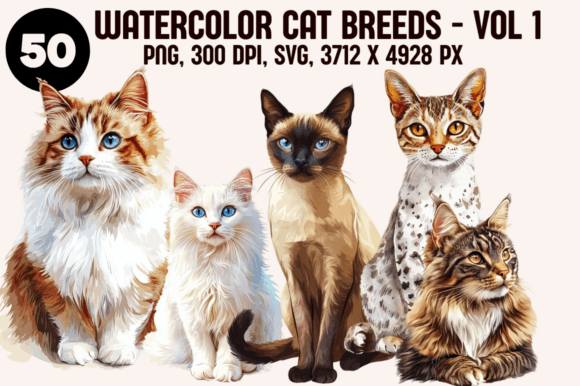 Watercolor Cat Breeds Illustrations – Volume 1 Review for Bloggers & Digital Publishers