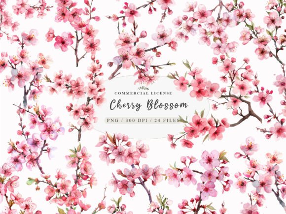 Watercolor Cherry Blossom Clipart Review for Real Embroidery Projects