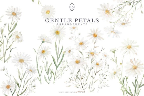 Watercolor Daisy Clipart Set for Illustrations & Digital Product Sellers