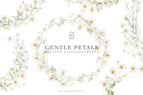 Watercolor Daisy Wreath Collection: Elegant Illustrations for Modern Branding