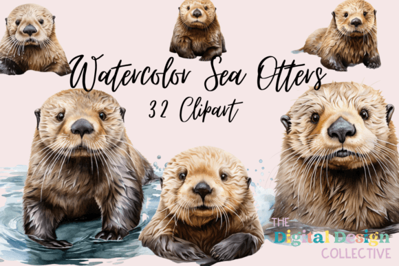 Watercolor Sea Otter Clipart Bundle Review
